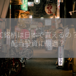 BDC銘柄は日本で買えるの？高配当投資に最適？